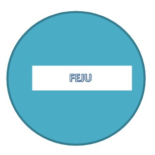 Feju S.R.L